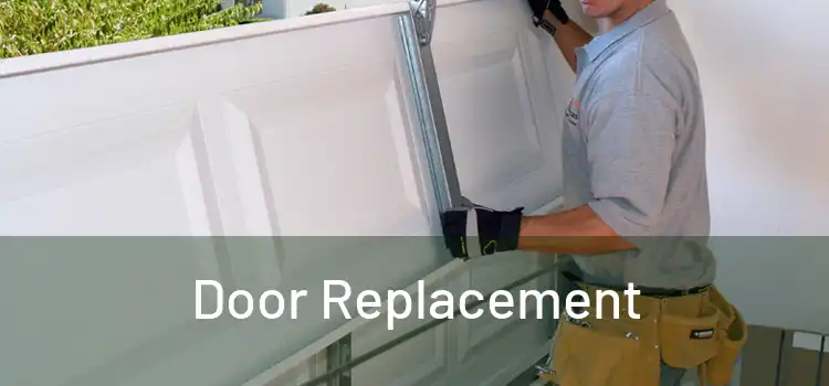  Door Replacement 